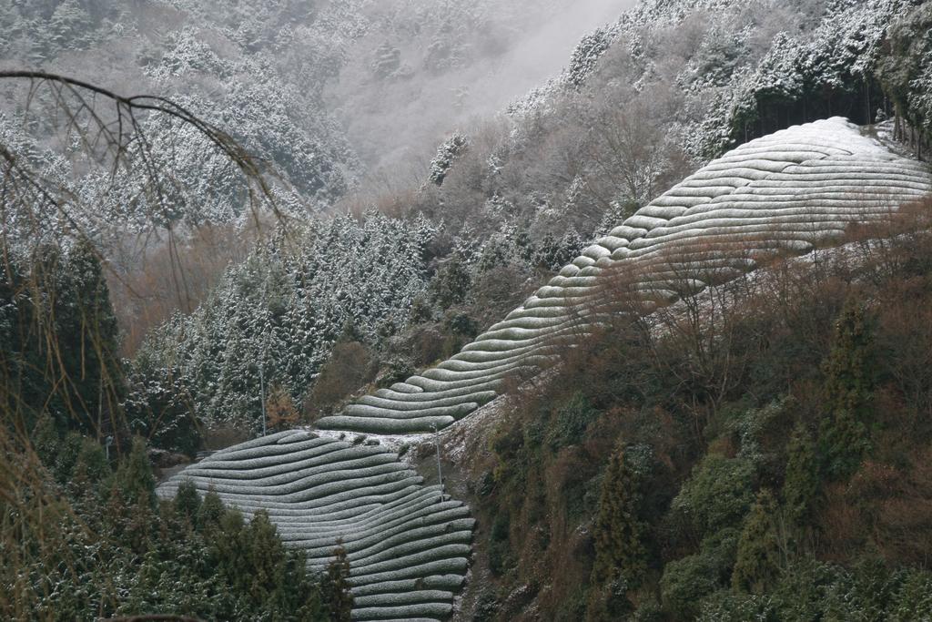 Hotel Kyoto Wazukaso Kizugawa Exterior foto